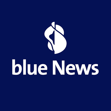 Blue news parle de nous !
